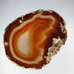 Single Slice of Agate, 3-4" (Natural)