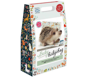 Baby Hedgehog Needle Felting Kit (Age 10+)