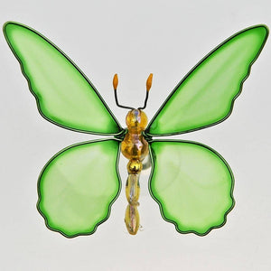 Fair Trade Window Bug in a Box - Green Butterfly
