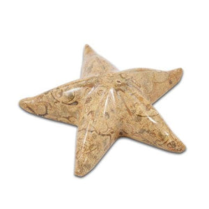 Fossil Stone Starfish Ornament (Boxed)