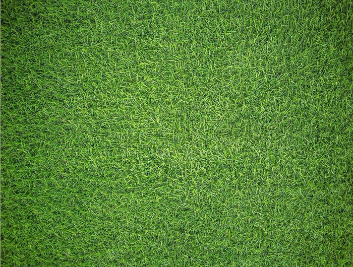 Jigsaw Puzzle - Impuzzible - Natural Grass (1000 pcs)