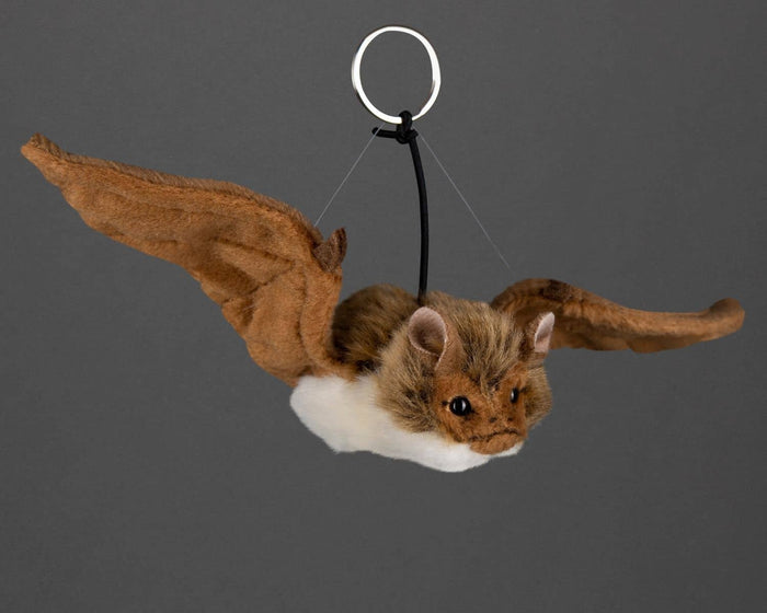 National Trust for Scotland Dangly Bat Soft Toy (WSL)