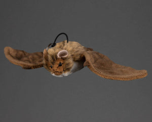 National Trust for Scotland Dangly Bat Soft Toy