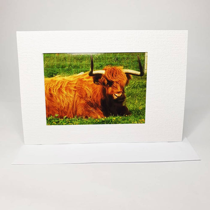 Photo Magnet Greetings Card - Highland Coo (Landscape) (WSL)