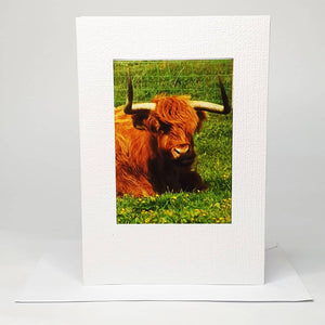 Photo Magnet Greetings Card - Highland Coo (Portrait)